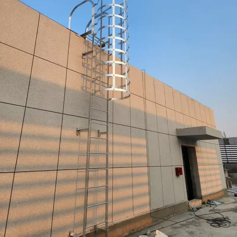 CL-M10 — Multi-Section Caged Ladder 6-20m | Hot-Dip Galvanized