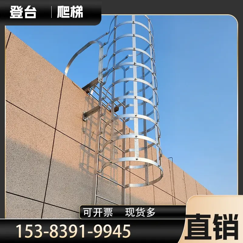 CL-S10 — Standard Caged Ladder 2-6m | Hot-Dip Galvanized