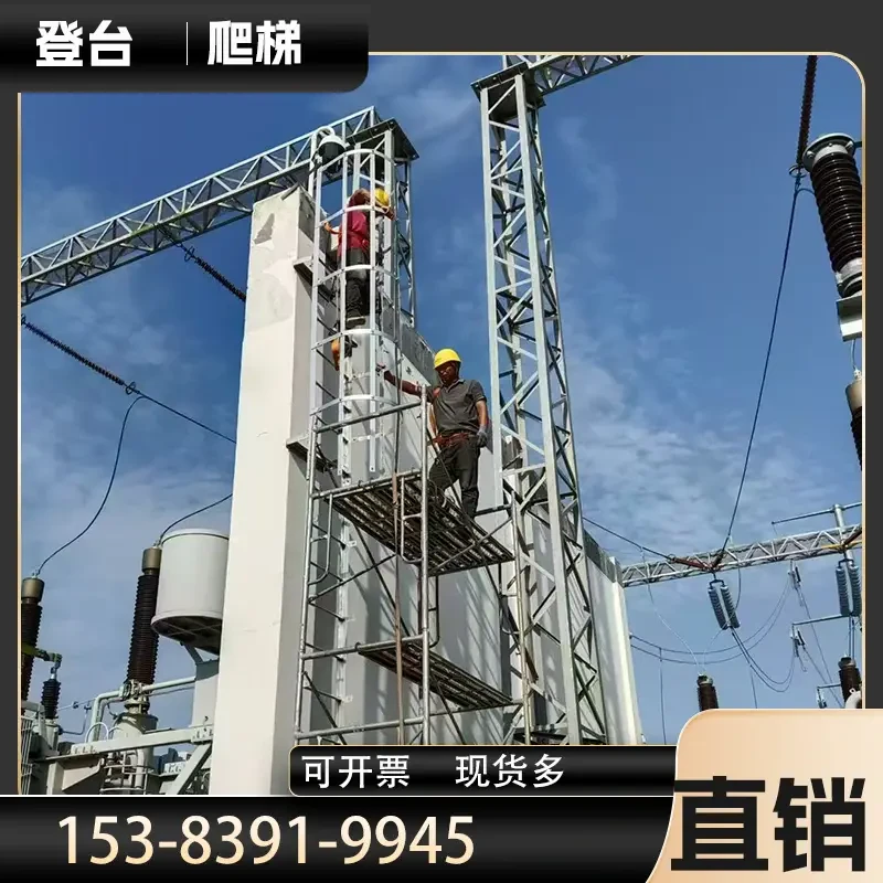CL-S15 — SS304 Caged Ladder 2-6m | Food & Pharma Grade