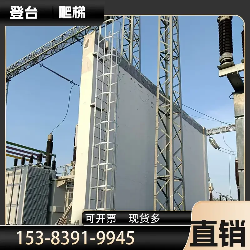 CL-SS316-STD — SS316 Marine Caged Ladder | Offshore & Coastal