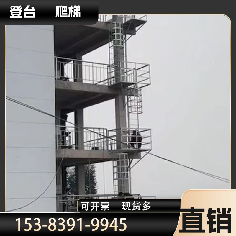 CT-HDG-STD — BS 4211 Cat Ladder | UK & Commonwealth Markets