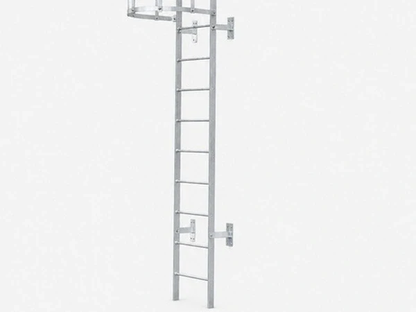 Fixed Steel Ladders | Wall-Mounted Vertical Access | Dengtai