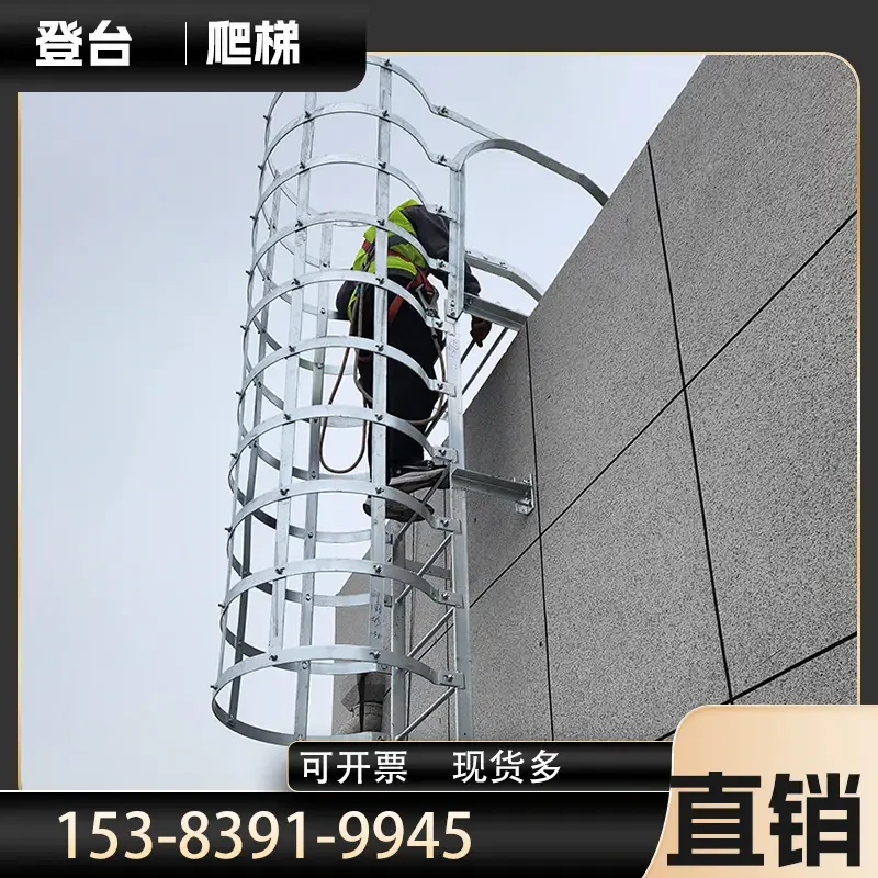 FL-H10 — Heavy-Duty Fixed Ladder 2-10m | Hot-Dip Galvanized