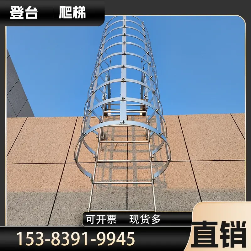 FL-H20 — SS316 Fixed Ladder 2-10m | Marine & Chemical Grade