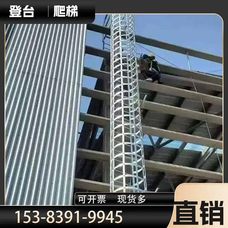 FL-S15 — SS304 Fixed Ladder 2-6m | Architectural Grade