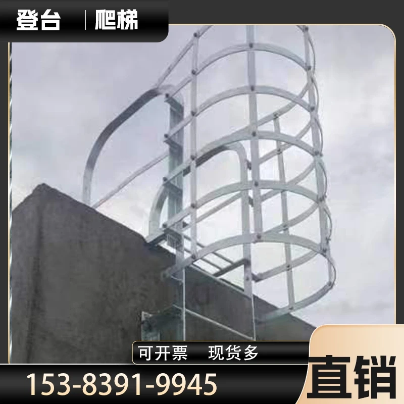 FL-S20 — SS316 Fixed Ladder 2-6m | High-Corrosion Environments